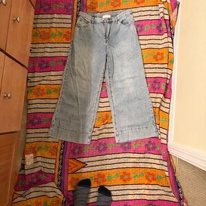 Zara Light Blue Flare Jeans